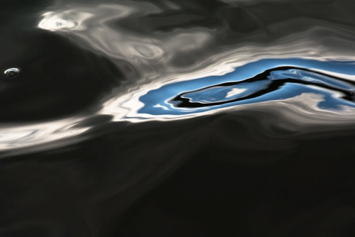 Water Detail, Upland Pond, Sussex County, NJ 09 07 (6954SA).jpg Water Detail, Upland Pond, Sussex County, NJ 09 07 (6954SA).jpg